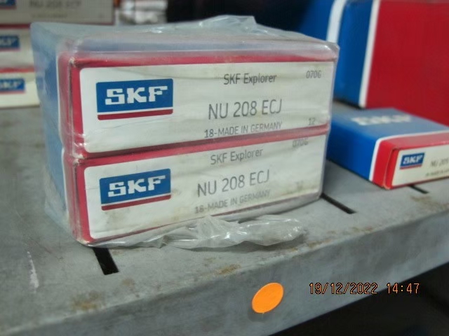 SKF Photo 131